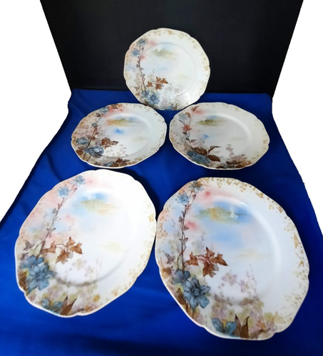 Antique set haviland co - haviland, &