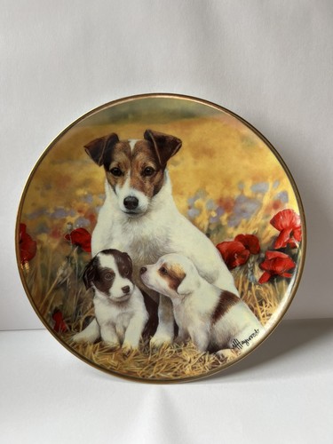 Collectable dog plate jack - dog,