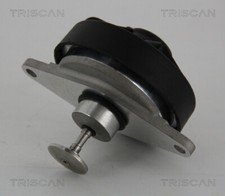 TRISCAN 8813 24202 EGR Valve
