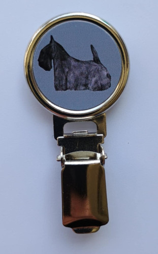 Scottish terrier dog show - terrier, ring