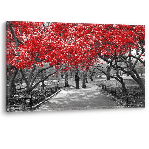 Red trees central park - red,