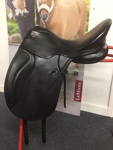 171 kieffer paris dressage - kieffer,