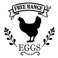Free range eggs