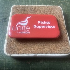 Trade Union Political Pin