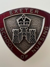 Badges exeter school of