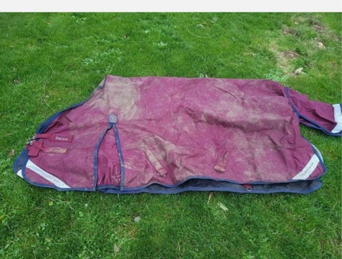 Equestrian horse rugs - equestrian,