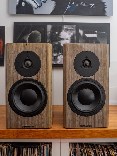Dynaudio special forty 40th - forty,