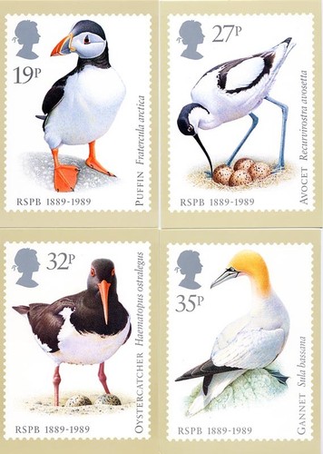 Postcards phq cards - phq,