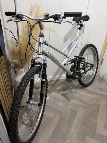 Mountain bike - mountain,