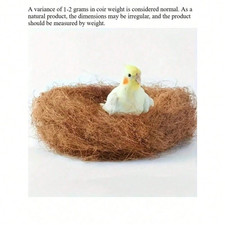 Natural Coconut Shell Bird