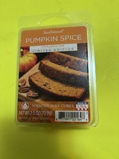 Pumpkin Spice Scented Wax