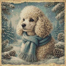 Miniature Poodle Puppy Dog