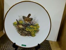 Boehm, Woodland Birds of