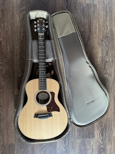 Taylor mini electro - gs,