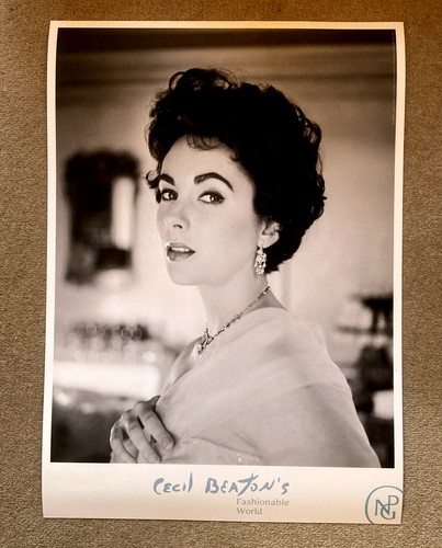 Elizabeth taylor cecil - by,