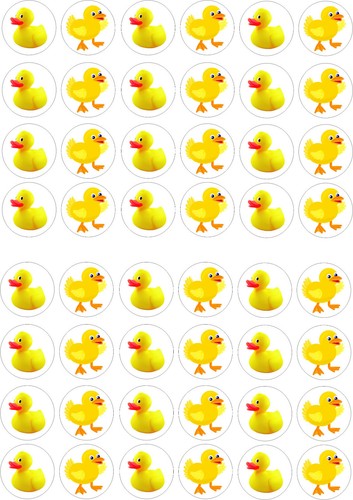 Yellow ducks mini cupcake - ducks,