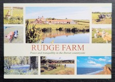 Vintage Postcard Unused Views