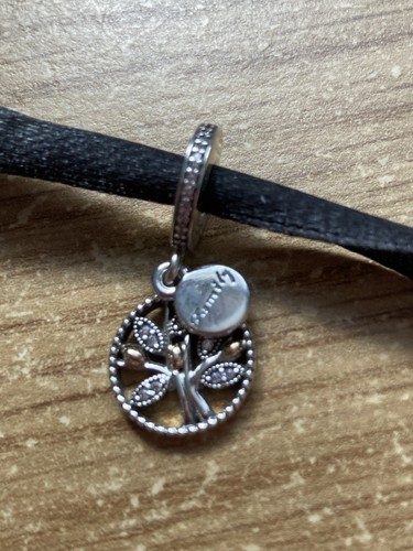 Genuine pandora silver - genuine, family