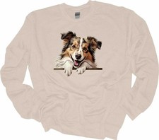 Peeking Shetland Sheepdog