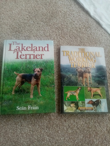Sean frain working terrier dog - terrier,