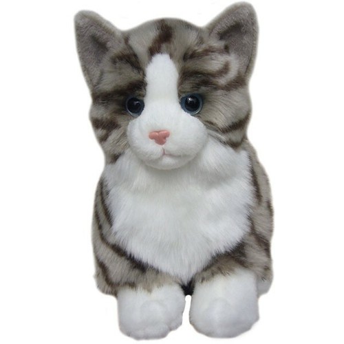 Tabby cat teddy - 12", plush