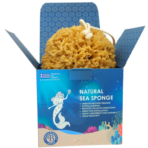 Natural sea sponge - for, bath