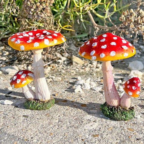 Pair garden mushroom - mushroom, /