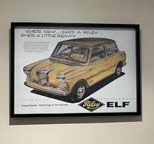 BMC Mini - Riley Elf Variant