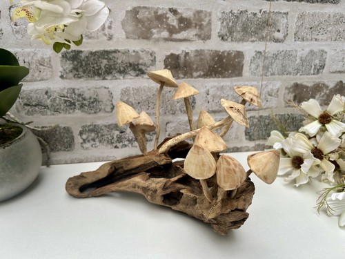 20cm multi mushroom wooden - 20cm, on
