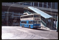 Original Bus Slide - Hong Kong