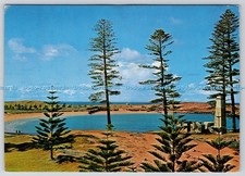 L352618 Norfolk Island Emily