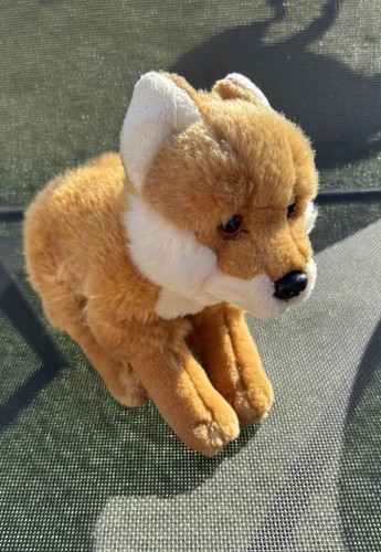 Gorgeous wwf fox cub - wwf,