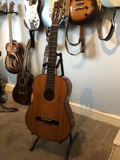 Encore ENC50N Acoustic Guitar