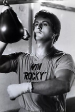 Sylvester Stallone belts