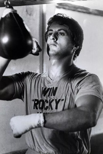 Sylvester stallone belts - sylvester,