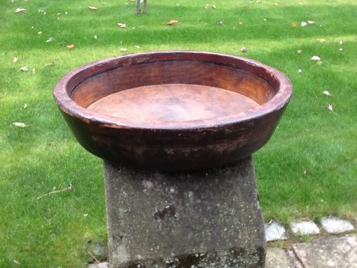 Large antique sycamore 19th - antique,