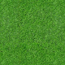 Timeless Treasures Fabric - Football Field Grass - 100% Cotton - Multiple Sizes