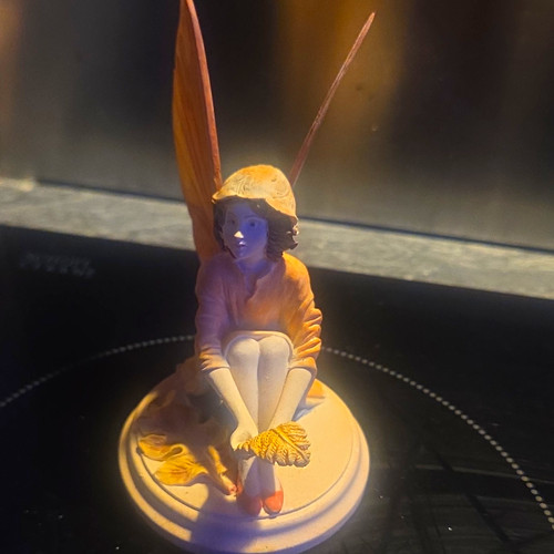 The enchanted world - world, fairies