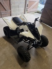 2021 Yamaha Raptor 90 YFM90