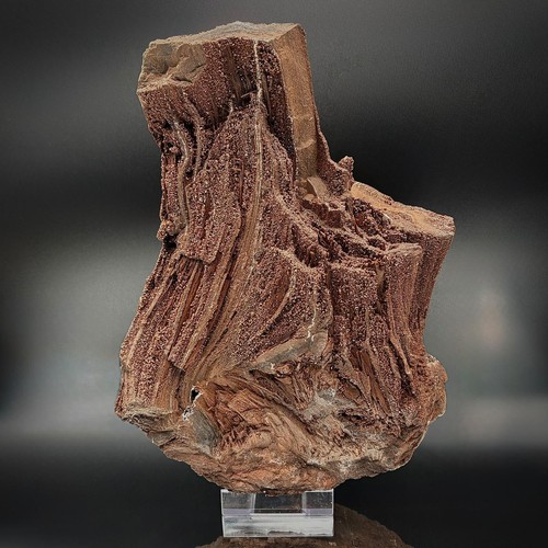 Petrified wood with quartz - petrified,