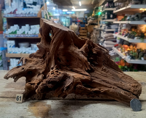 Medium natural bogwood - medium,