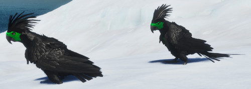 Ark asa pve monster parrot - asa, [parrot]