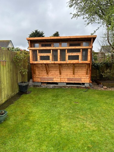 Pigeon loft with - 10,