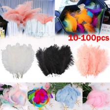 10-100×Ostrich Feathers For