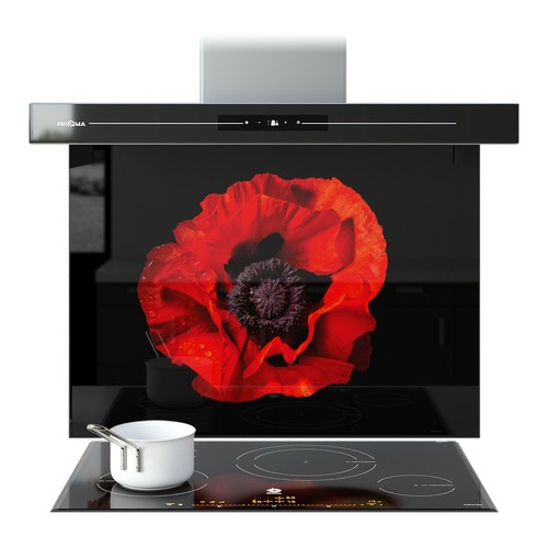 Kitchen glass splashback - kitchen,