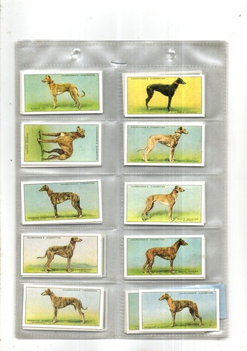 Racing greyhounds full sleeved - greyhounds,