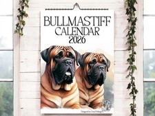Bullmastiff  2026-Dog