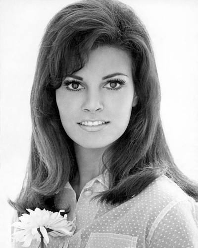 Raquel welch 1037932 - raquel,