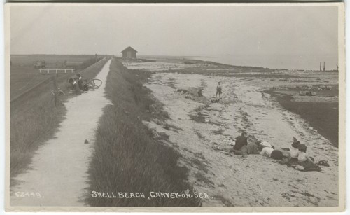 Shell beach canvey - shell, on