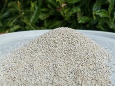 100% ARAGONITE CORAL SAND